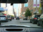 IMG00067-20090727-1844.jpg