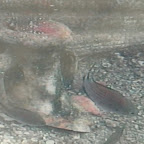 DSCN7345.JPG