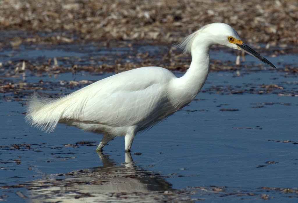 [St-Joe-SP_171.NEF3.jpg]