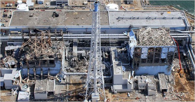The Fukushima Daiichi nuclear plant, damaged by a tsunami on March 11, became the site of the worst nuclear disaster since Chernobyl. Reuters