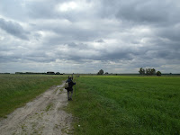 SAM_5617.JPG Photo
