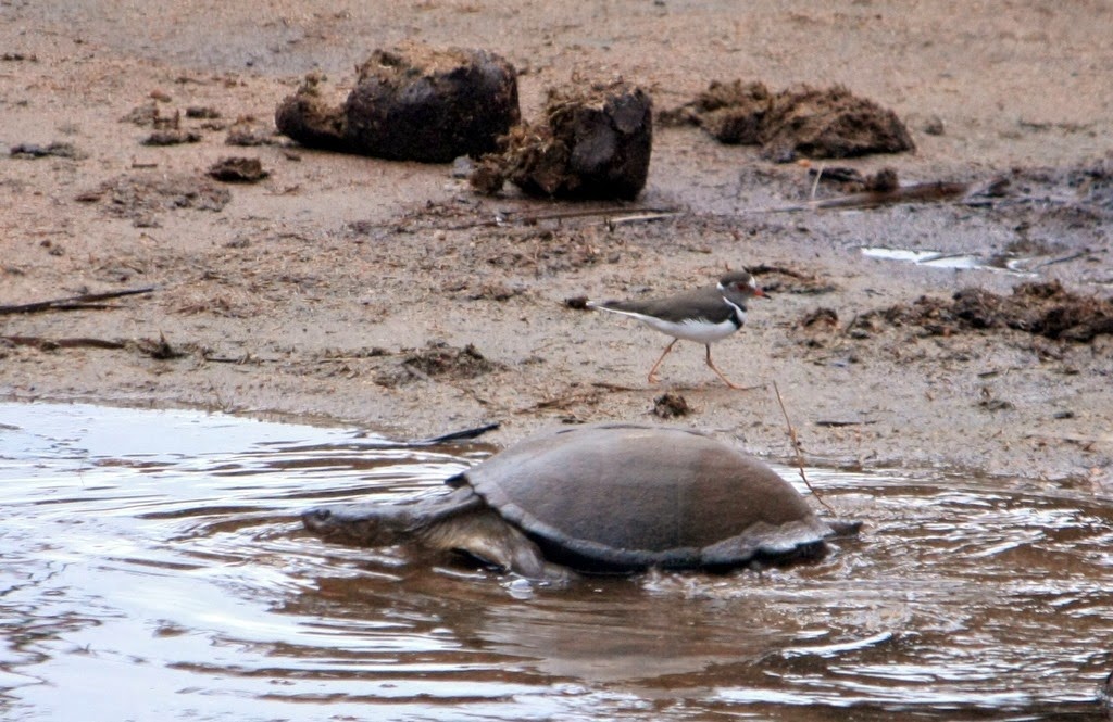 [IMG_7246%255B3%255D.jpg]