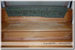 carpet pad removal