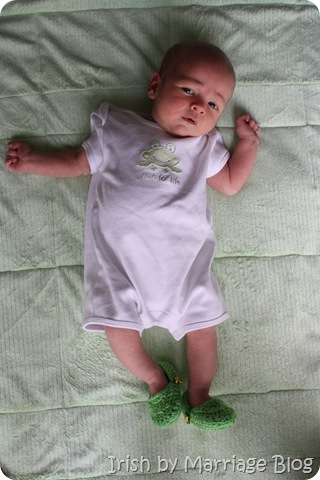 IMG_5195 IMG_5195