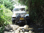 p1246136356(1).jpg