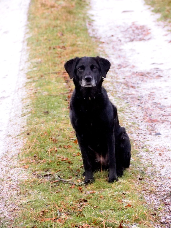 [17%2520Dec%25201%252017-12-2011%252013-11-41%255B3%255D.jpg]