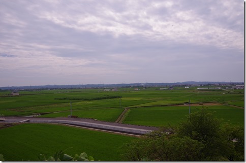 IMGP4540 IMGP4540