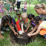 Let's Plant Our Apple Trees