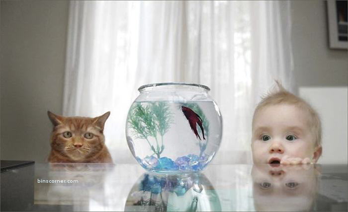 So Sweet Photos : You will smile for sure