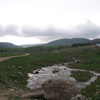 IMG_1894.jpg
