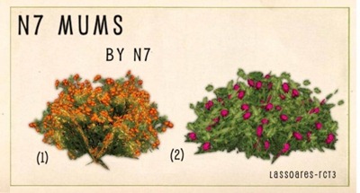 n7 Mums (n7) lassoares-rct3 n7 Mums (n7) lassoares-rct3