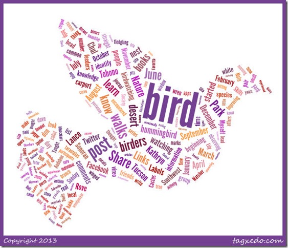 Word Cloud Bird Word Cloud Bird