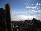 All the land cruisers parked at the lunch spot down below with a nicely lit field of ancient cactii.