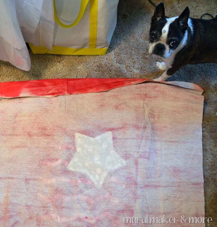 [spray-paint-pillow-13%255B2%255D.jpg]