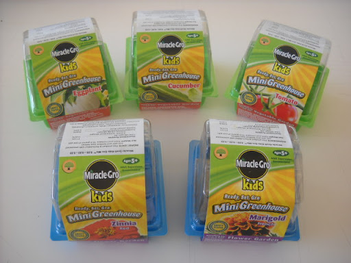 These individual kits make good starter sets if you aren't ready for a larger greenhouse or terrarium. Only $1 each!