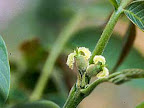 p1238559458(9).jpg