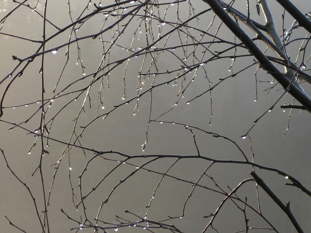 [IMG_0735%255B7%255D.jpg]