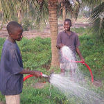 watering.jpg