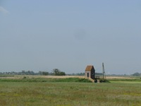 IMG_7882 IMG_7882