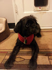 20111207_180908.jpg