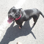 DSCN4687.jpg