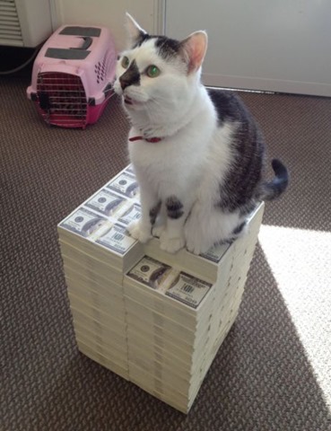 [rich-wealthy-cats-8%255B2%255D.jpg]