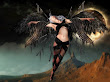 Fly Of Evil