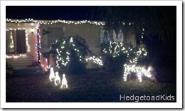 lights