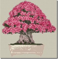 azalea bonsai