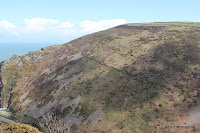 IMG_6009.JPG Photo