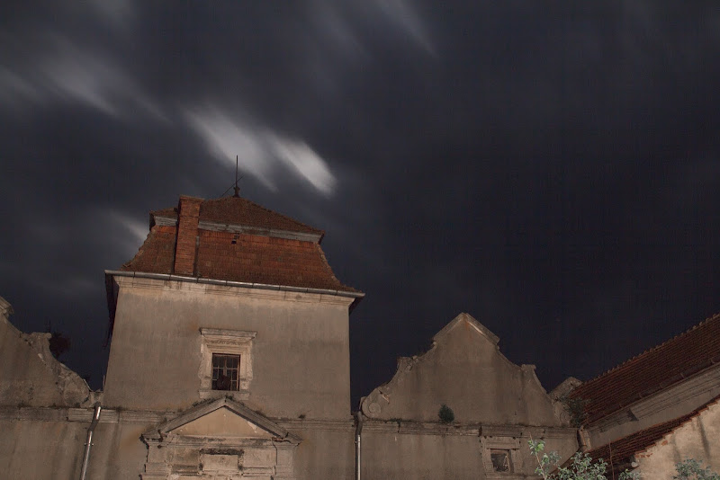 Свірзький замок