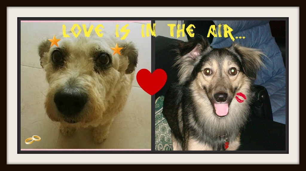 [Tove%2520e%2520Luna%255B2%255D.jpg]