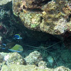 l047.jpg