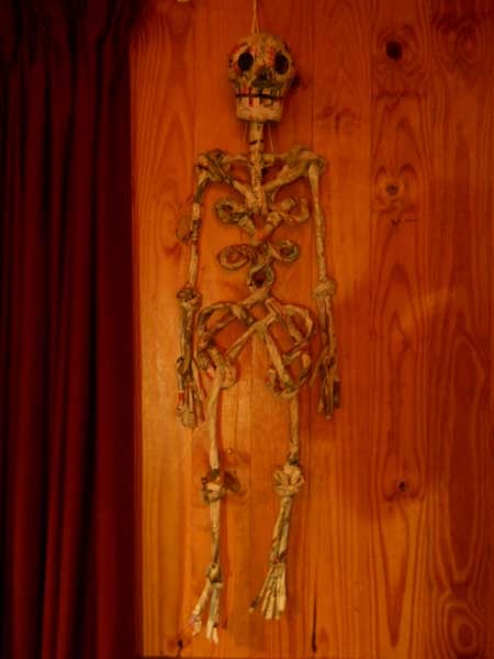full-body