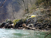 DSCN1904.JPG Photo