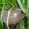 dsc01229.jpg