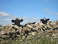 Friendly locals