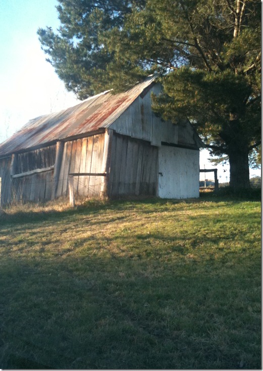 july 2011 044