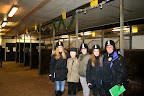 Grönt kort kurs januari 2012