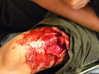DSCN3559.JPG