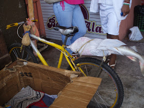PB110044.JPG