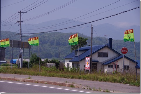 IMGP6437 IMGP6437