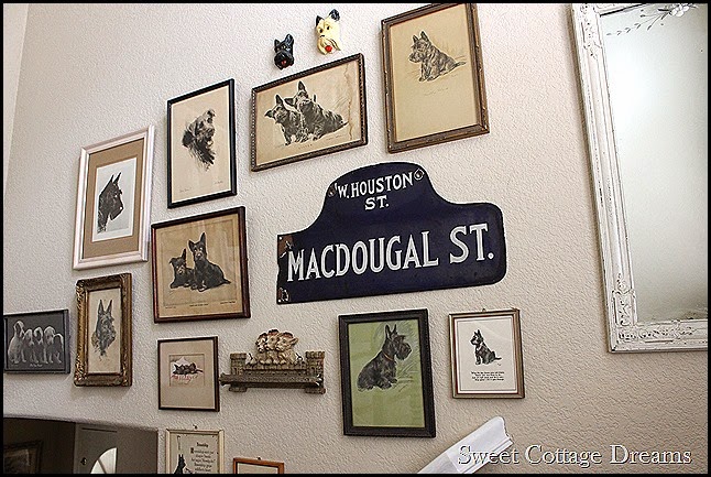 IMG_0874 IMG_0874
