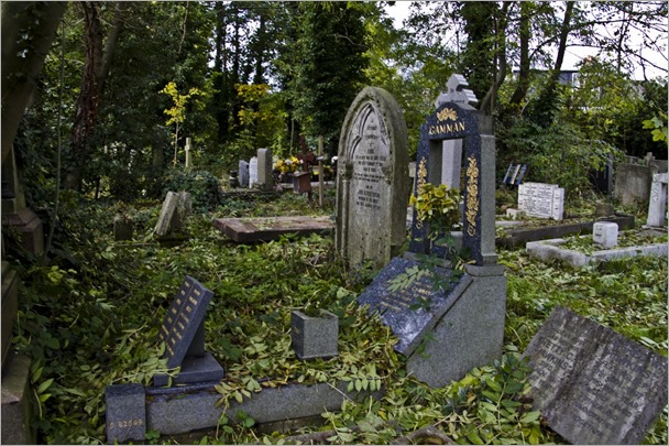 ¿Visitas de Vez en Cuando o Regularmente Algún Cementerio? IMG_7530_thumb%25255B5%25255D