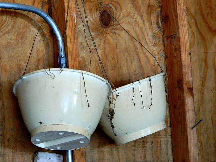 [garage_before_planters%255B4%255D.jpg]