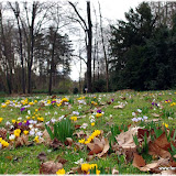 Au parc de la tête d'or