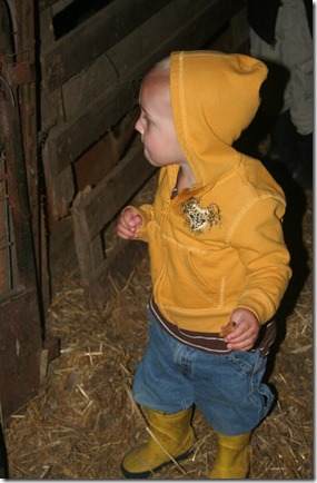 IMG_4601 IMG_4601