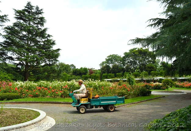 Glória Ishizaka -   Kyoto Botanical Garden 2012 - 135