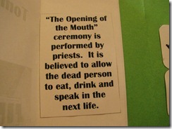IMG_8609 IMG_8609