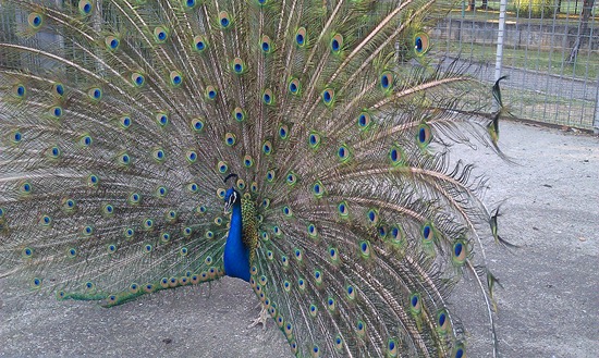 IMAG0014